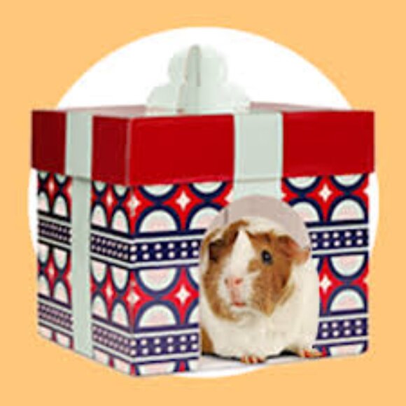 Fun and Festive Small Animal House by Merry Makings! NWT - Picture 2 of 3